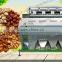 Automatic ccd color sorter for cashew nut/apricot kernels/walnut