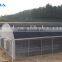 BaoLiDa Low Cost Plastic Film Covered Hoop Greenhouse