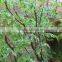 Artificial banyan tree with grass animals for sale