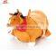 Hopping Ridding Jumping Pump Included Bouncy Horse Inflatable Ride-On Pony