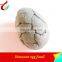 Simulation Dinosaur Egg Fossil Hatching Dinosaur Eggs