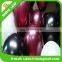wholesale inflatable transparent latex balloon