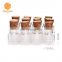 Cheap Mini Clear Wishing Message Glass Bottles Vials With Cork Small jar