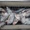 High Quality Durable Full Automatic Fish Scaling Machine