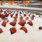 Cherry tomato pepper pear eggplant orange washing machine cleaner