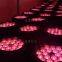 (NJ-L18N4)18*12W RGBW 4in1 Waterproof LED PAR Light