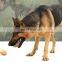 Factory price good quality latex dog chew squeaky rubber animals for teeth grinding/cleaning