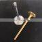 Malaysia High Quality Engine Valve for Mitsubishi Proton Waja 1.6 1.8 Wira 1.6 v6 1.8 2.0D 12V Intake Valve Exhaust Valve