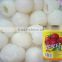top China brand canned litches good quality