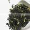 China popular fresh jasmine green tea all kinds of good jasmine green tea
