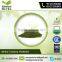 Health Beneficial Wheat Grass Powder for Bulk Buy