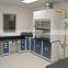 Cheap Price Stainless Steel Laboratory Chemical Fume Hood