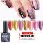 Nail new design cat eye gel kit polish UV poly gel kit from chinese supplier