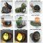 Solar power rechargable lovely dogs garden LED lights