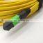 Optical Ribbon 900um Pigtail Patch Cord Cable 12 Cord Fan Out Mpo Fiber Optic Patchcord
