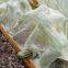 CROP COVER (CLIMATE NET) BY 10M LENGTH