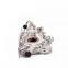 Oil Pump 90570921 For  OPEL/DAEWOO