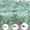 Garden Vegetable Protection Anti Insect Net Plant Flower Fruit Care Cover Network Greenhouse Pest Control Anti-bird 60 Mesh