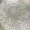Factory direct sales glass fiber chopped strands for structural cement