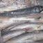 HACCP EU certification Land frozen Roe off Grey mullet and mugil cephalus