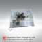 Customized food packaging film/food grade plastic film roll/plastic laminated film roll