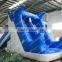 hot water park dolphin water slide with water pool