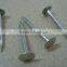 galvanized coated broad head nails