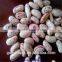 2015 crop long shape light speckled kidney beans
