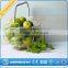 Customize Sterilization Stainless Steel Wire Mesh Tray and Basket