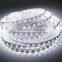 Outdoor flexible color DC 12 volt 24v 100m/roll outdoor SMD5050 flat led light strip 220V 110v for Christmas decoration ROHS