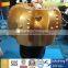 12 1/4 PDC drill bit with matrix body 5 blades