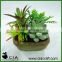 Hot Artificial Mixed Potted Succulents Arrangement in Pottery Pot for Table Plant