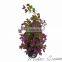 hot selling best design artificial potted bonsai artificial greenly bonsai plastic plant for table centerpieces