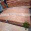 red color veneer burckella veneer similar to gurjan face veneer
