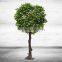 Large Artificial Ficus Tree