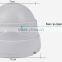 CMOS DOME CCTV CAMERA with 2 Array LEDs good Night Vision security camera 100pcs