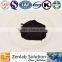 hot sale high quality bilberry p.e powder