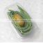 1600ml Disposable Clear Plastic Box for Vegetable
