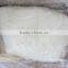 Frozen Squid Fillets