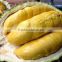 VIET NAM DURIAN- monthong durian