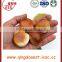 New crops Chinese raw chestnut in bulk