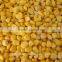 Supply 2016 new harvest sweet corn