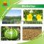2016 Hot Sale Organic Pumpkin Kernel