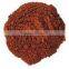GMP factory supply good qualily Pine Bark 95%OPC for health keeping