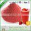 Juice powder FD strawberry powder juice/baking/yogurt