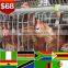  China chicken layer cage for sale
