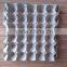 Mozambique hot selling 30 chicken eggs paper pulp tray