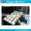 Big scale 2016 China Hot Sale Automatic Steamed Bun Making Machine