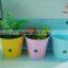 Galvanized Iron Powder Coating Flower Pot Set of 3