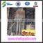used corn beans wheat cleaner for sale